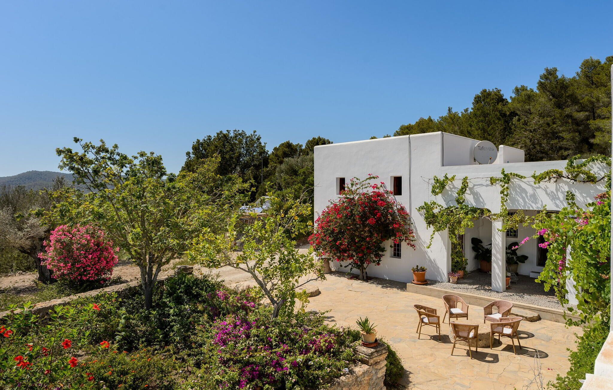 Un edificio blanco con un patio jardín, mobiliario exterior y plantas en macetas.