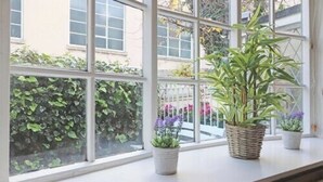 A window with multiple panes, a potted plant, and a view of a building and greenery outside. - North Laine Sunny Cottage with parking (Brighton and Hove)