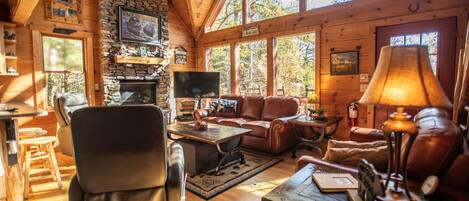 Smart TV, fireplace, books