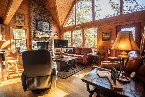 Smart-TV, peis og bøker