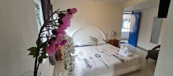 HOSTAL DEL ELEFANTE