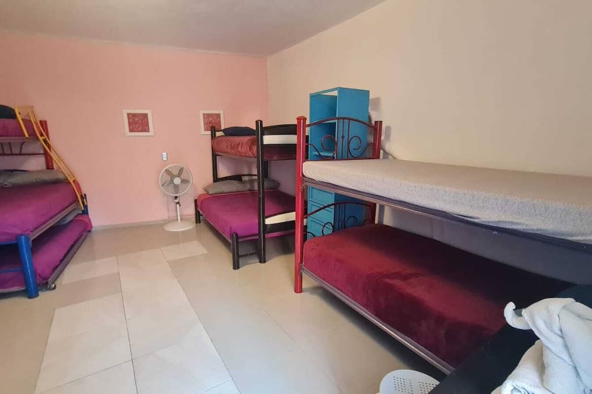 Basic Room, Multiple Beds, Non Smoking