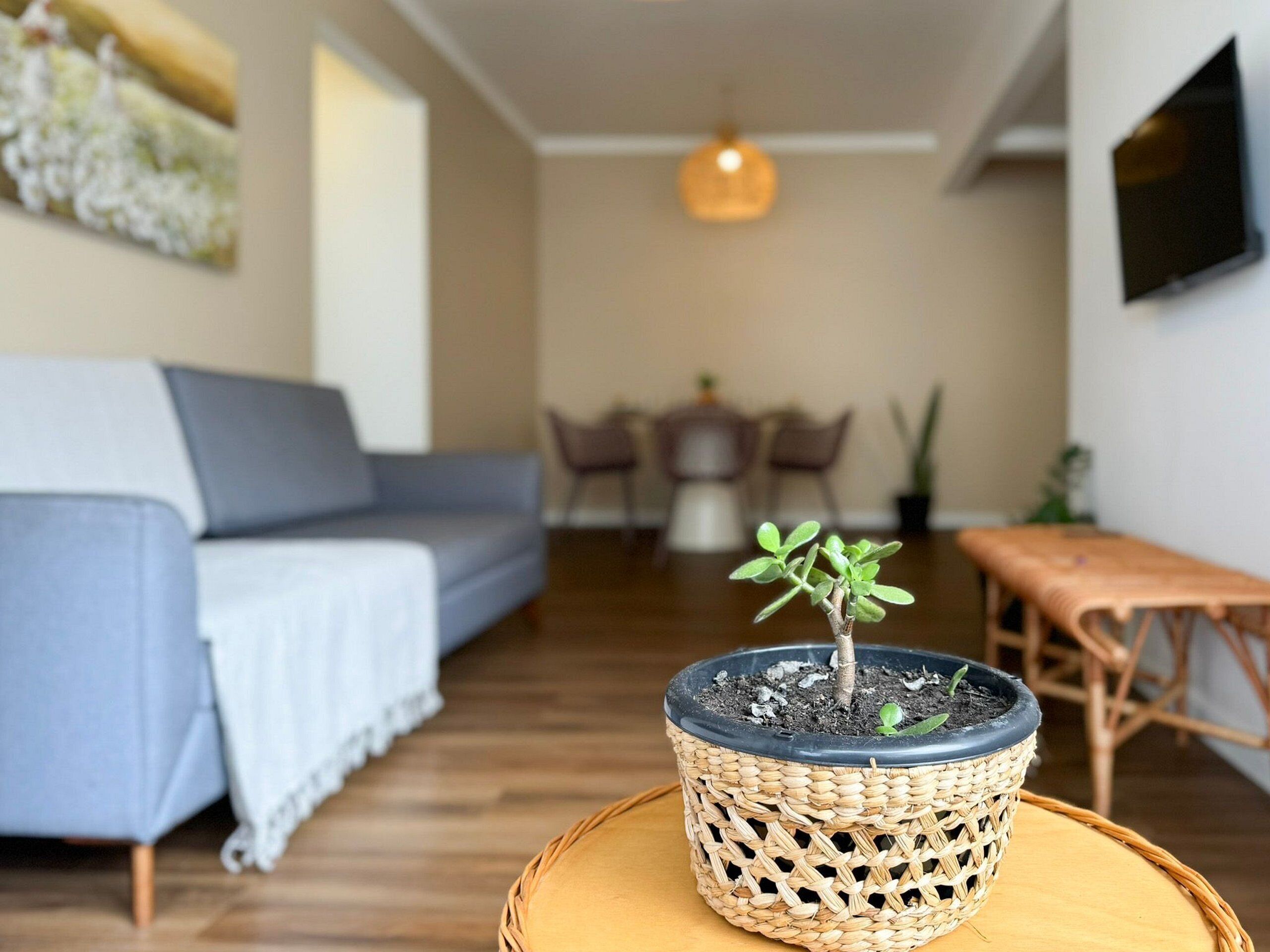 Ein Wohnzimmer mit einer Couch, einem Esstisch und einer kleinen Topfpflanze auf einem runden Tisch.