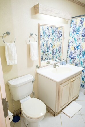 A bathroom with a toilet, sink, and shower curtain. - Charming 2-bedroom condo, with WiFi, AC & uninterrupted sea views in Bridgetown  (Bridgetown)