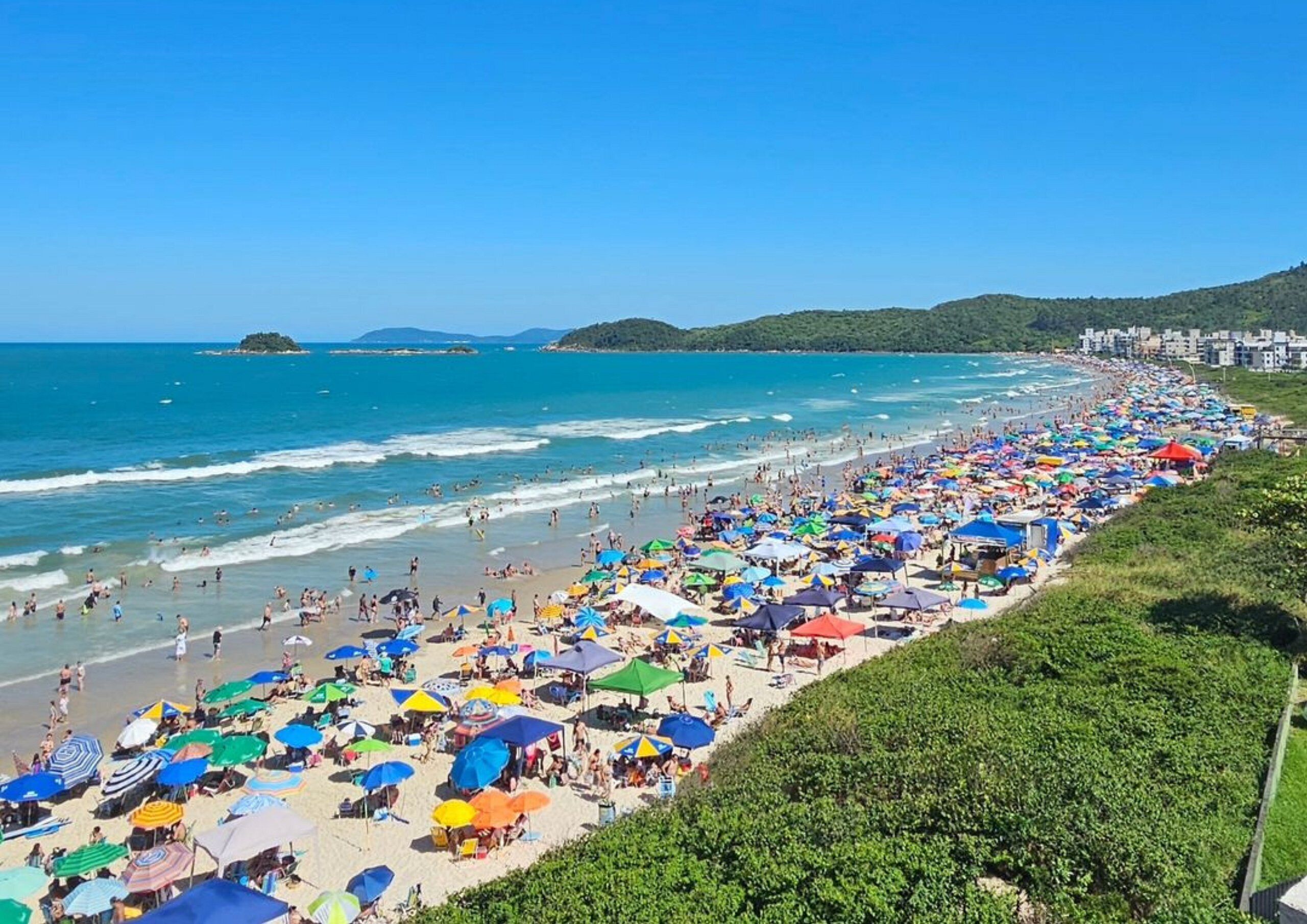 A crowded beach with numerous umbrellas and people enjoying the seaside.