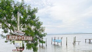 Escena de playa con un cartel, un árbol y un muelle de madera que se adentra en el agua.