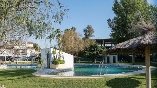 Une piscine dotée d’une structure de toit en chaume, entourée d’une pelouse bien entretenue et d’arbres.