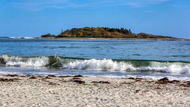 A beach with waves approaching the shore and a small island in the distance.