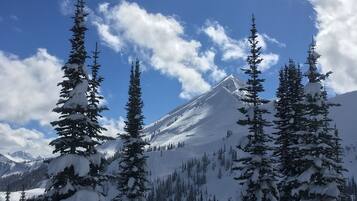 A snow-covered mountain with evergreen trees in the foreground and a clear blue sky.