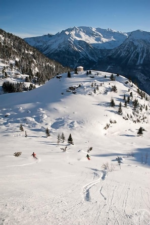 Deportes de invierno y ski