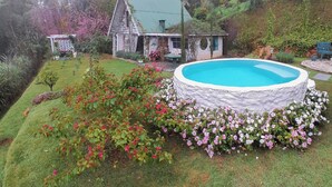 Une maison avec une piscine, entourée d’un jardin où poussent différentes plantes et fleurs.