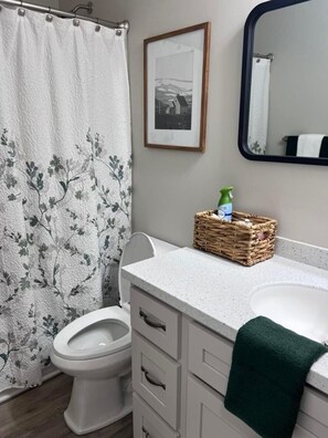 Une salle de bain comprenant des toilettes, un lavabo, un miroir, un tableau encadré au mur et un rideau de douche à motifs floraux.