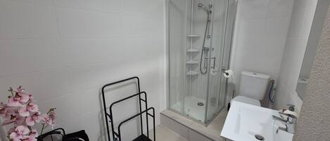 Douche, articles de toilette (gratuits), séchoir à cheveux