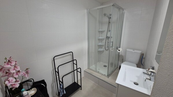 Regadera, amenidades de baño gratuitas, secadora de cabello, toallas 
