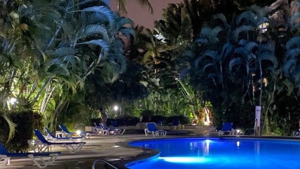 Ein Poolbereich bei Nacht mit Liegestühlen und Palmen.