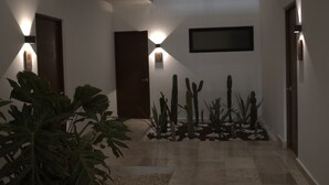 A hallway with a cactus garden, a wooden door, and wall-mounted lights.