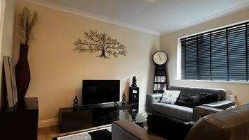 TV connectée, livres, chaîne hi-fi