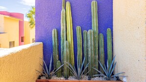 A wooden planter box with cacti against a purple wall, a wooden bench, and a tiled floor. - 3 Bd Penthouse in the heart of San Jose Del Cabo (San Jose del Cabo)