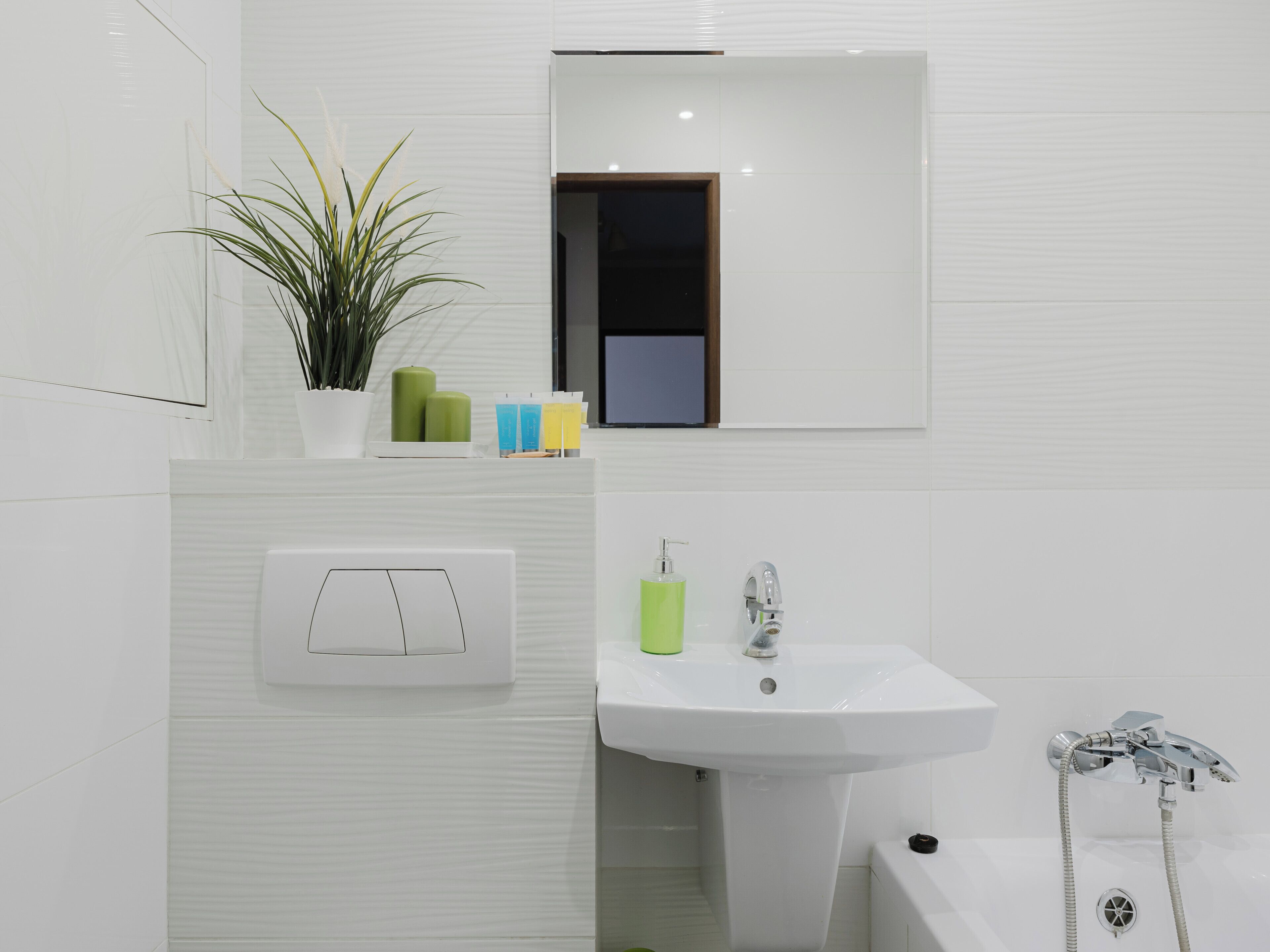 Un baño moderno con un lavamanos blanco, un espejo y una planta verde.