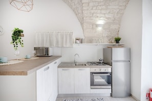 A compact kitchen with a built-in oven, a stainless steel refrigerator, and a hanging plant.
