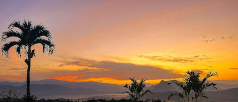 Una piscina al aire libre, sombrillas, tumbonas