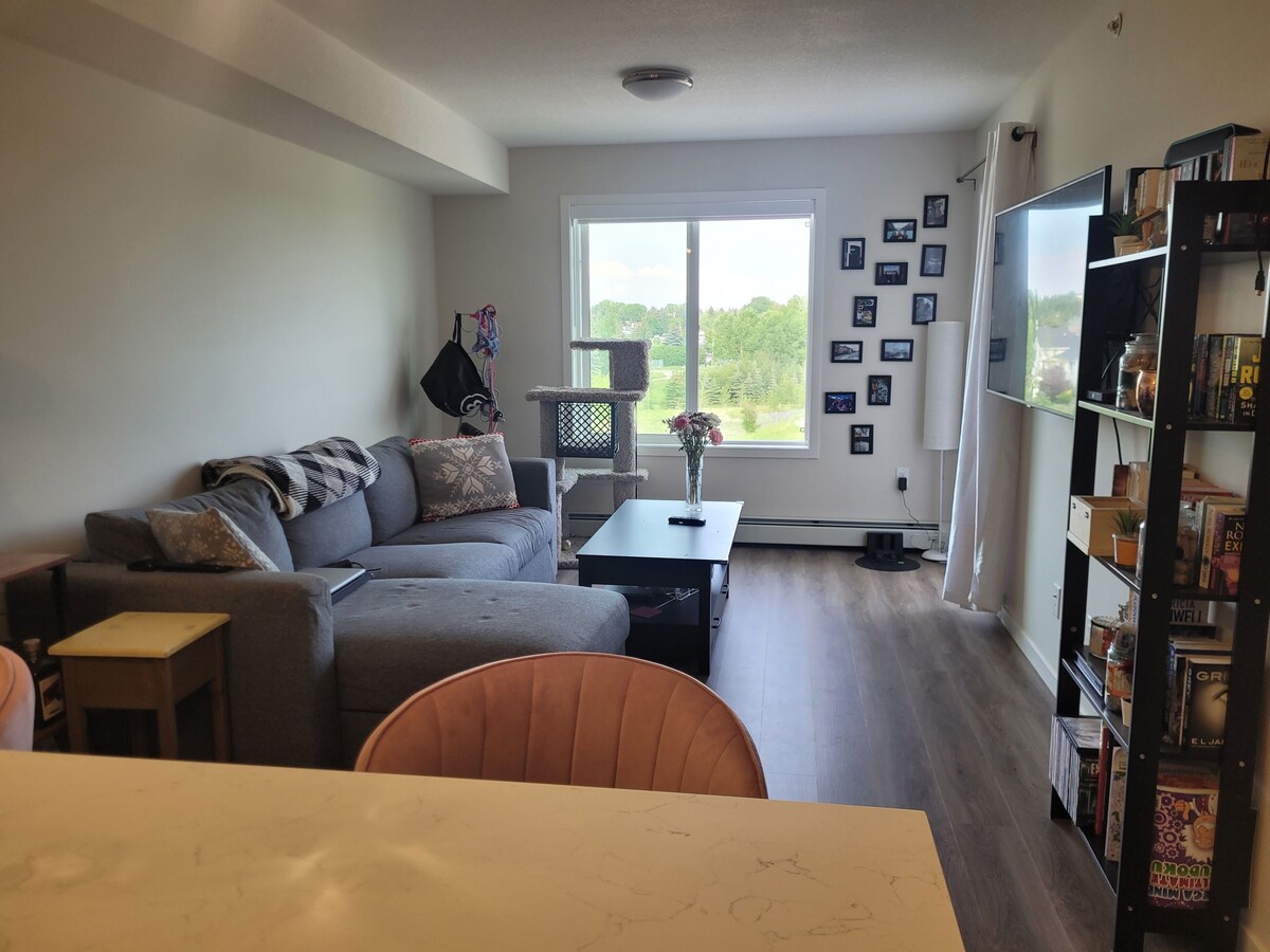 Imagen de perfil del propietario o de la propietaria