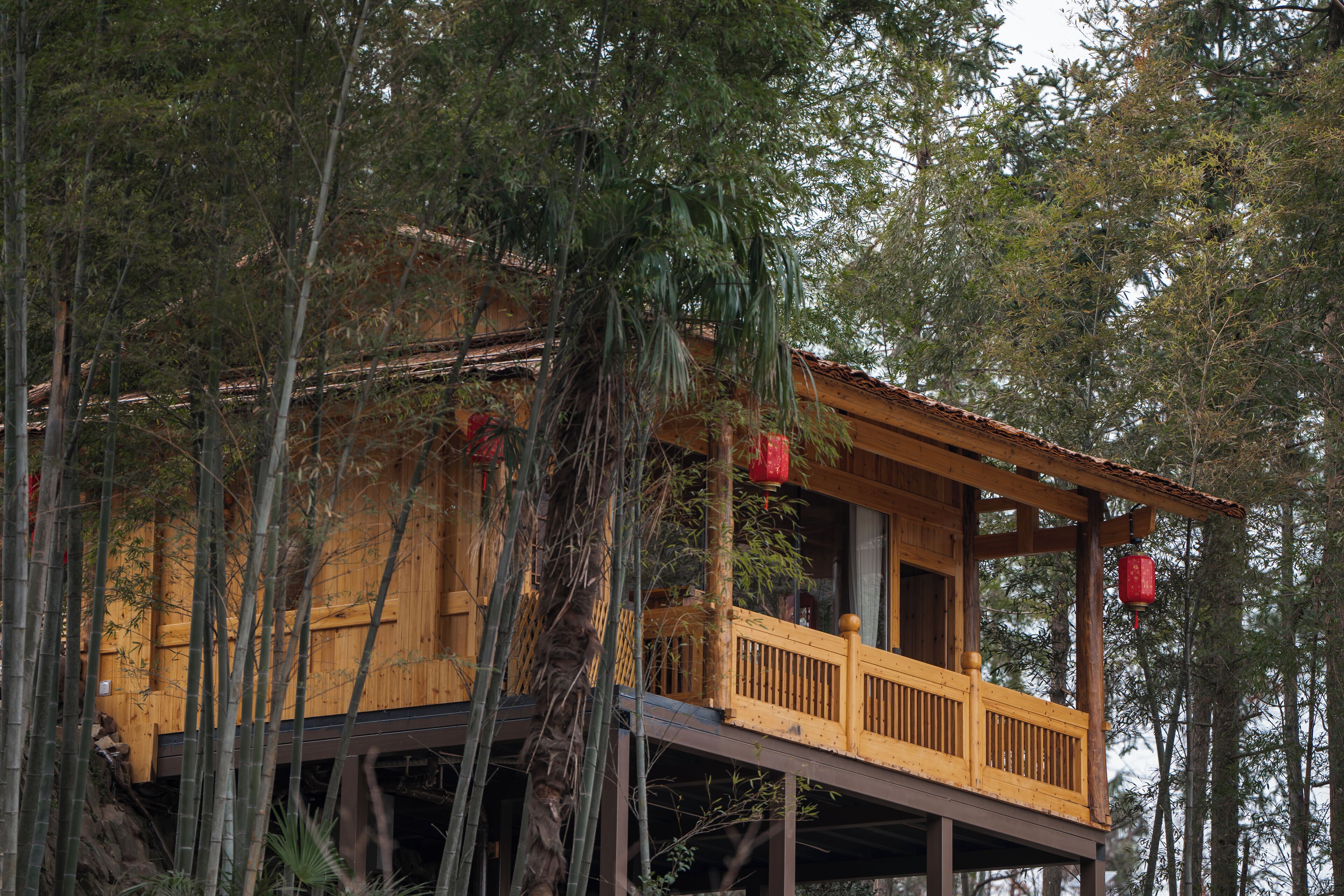 A wooden cabin with a balcony, surrounded by tall trees.
