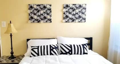 3 Bedroom house near Tysons Corner