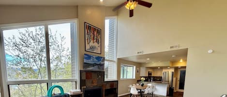Smart TV, fireplace, books