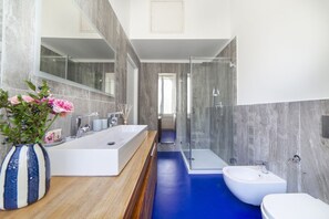 Shower, hair dryer, bidet, towels