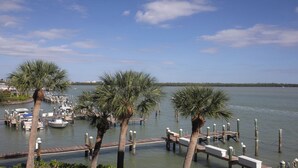 A marina with docked boats, palm trees, and a wooden pier.
