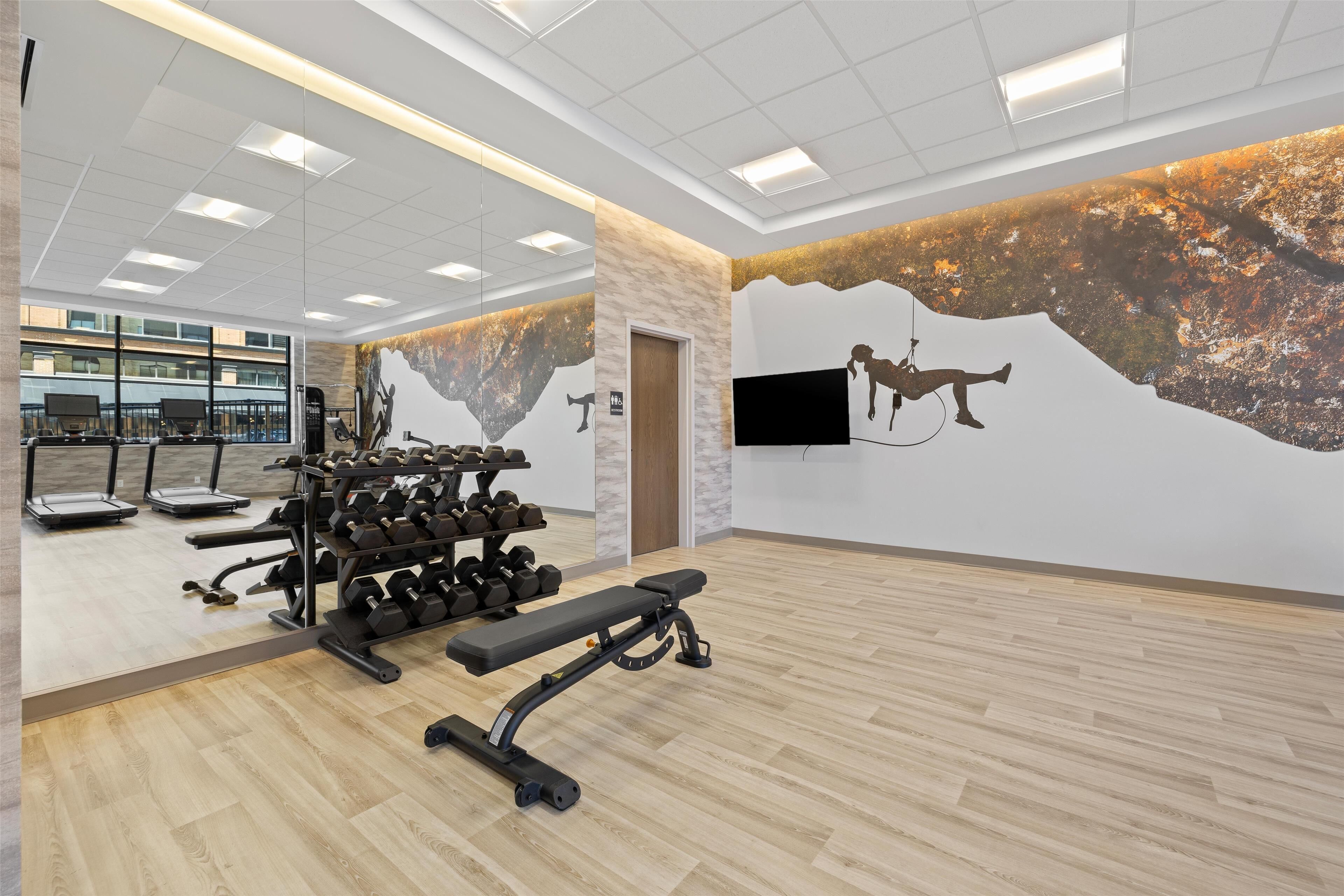A gym with treadmills, dumbbells, and a bench.