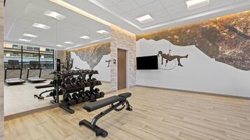 A gym with treadmills, dumbbells, and a bench.
