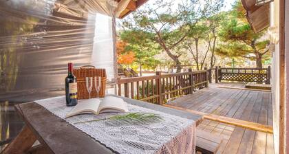 Gyeongju Clearmorning Petfriendlypension