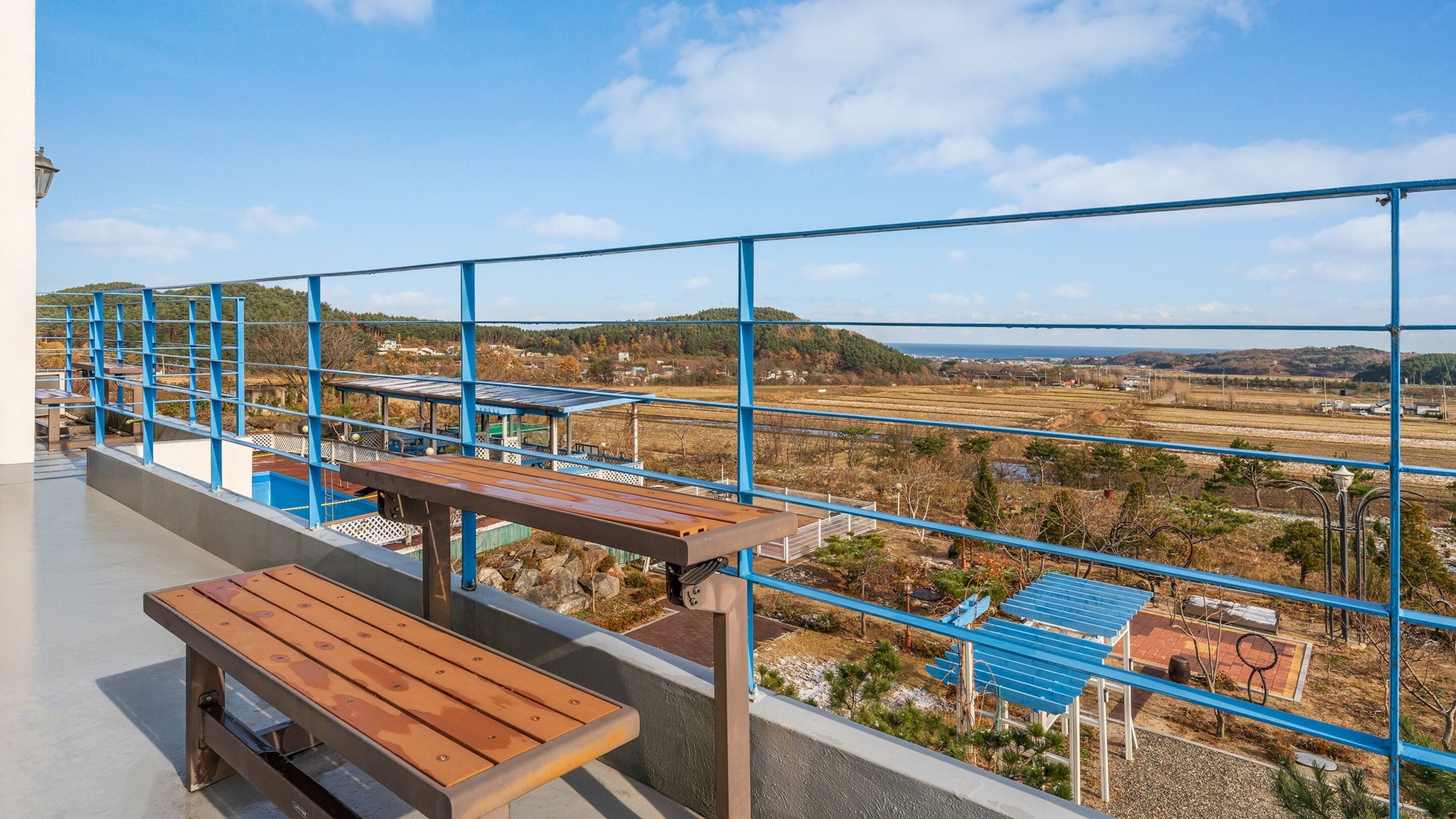 Basic Room, 1 Bedroom (Room203 (Pet/Spa))