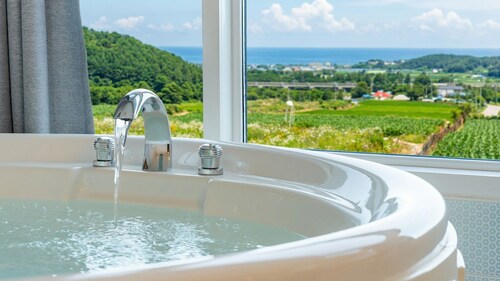 Yangyang Monti Pet Spa Pension