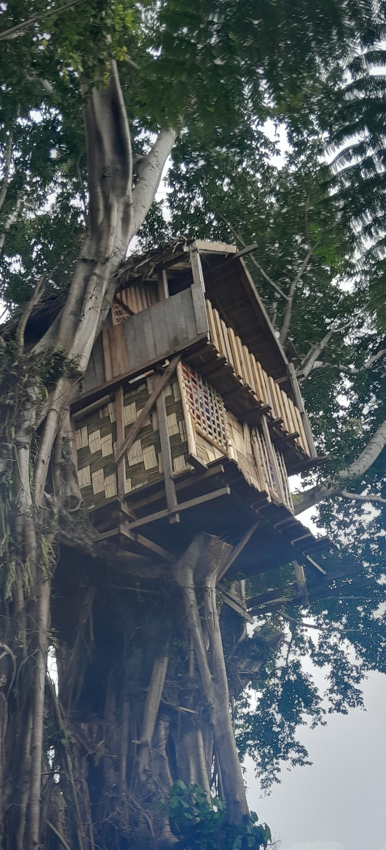 Una casa en los árboles construida sobre un gran árbol, con estructura de madera y paredes de celosía.