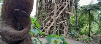 Glowing view tree house and Bangalow