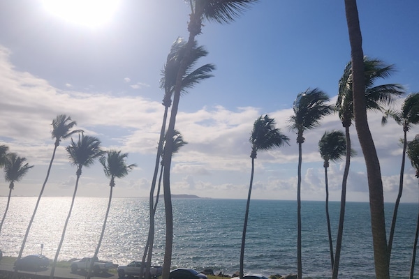 Àrea exterior de l'allotjament