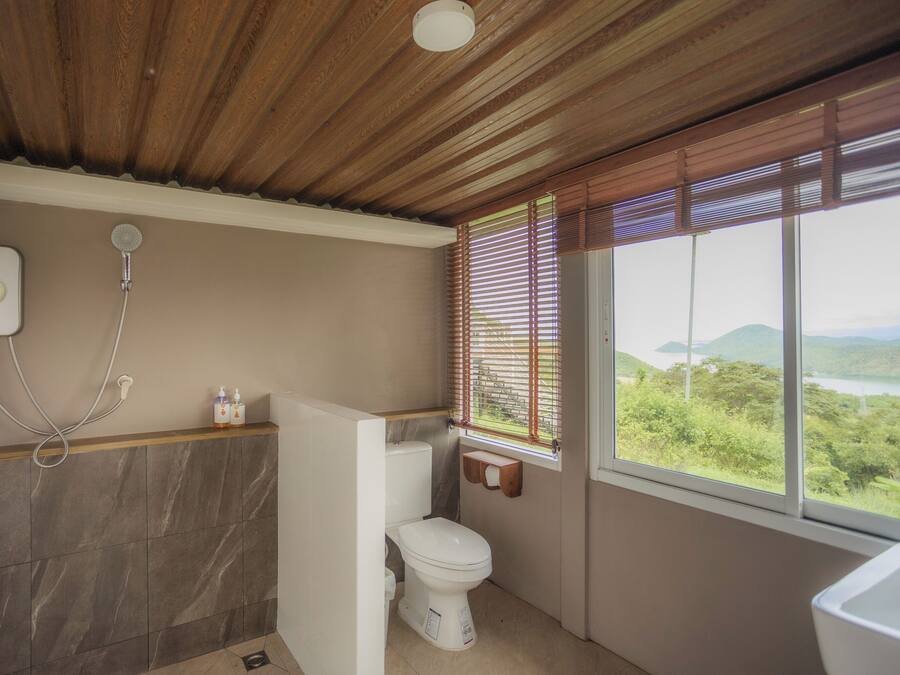 A bathroom with a shower, toilet, and a window with a view of greenery.