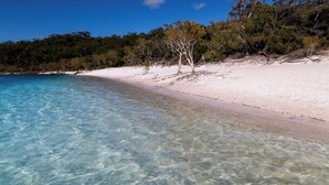 Une plage bordée d’une eau turquoise cristalline et d’un sable blanc, entourée d’une forêt verdoyante et luxuriante.