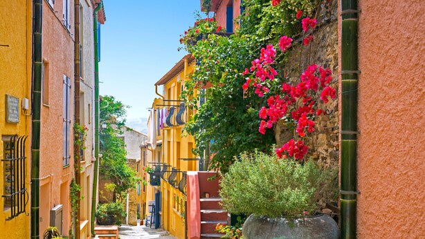 A narrow street with buildings on both sides, a large planter, and a staircase. - Collioure le haut by Interhome (Collioure)