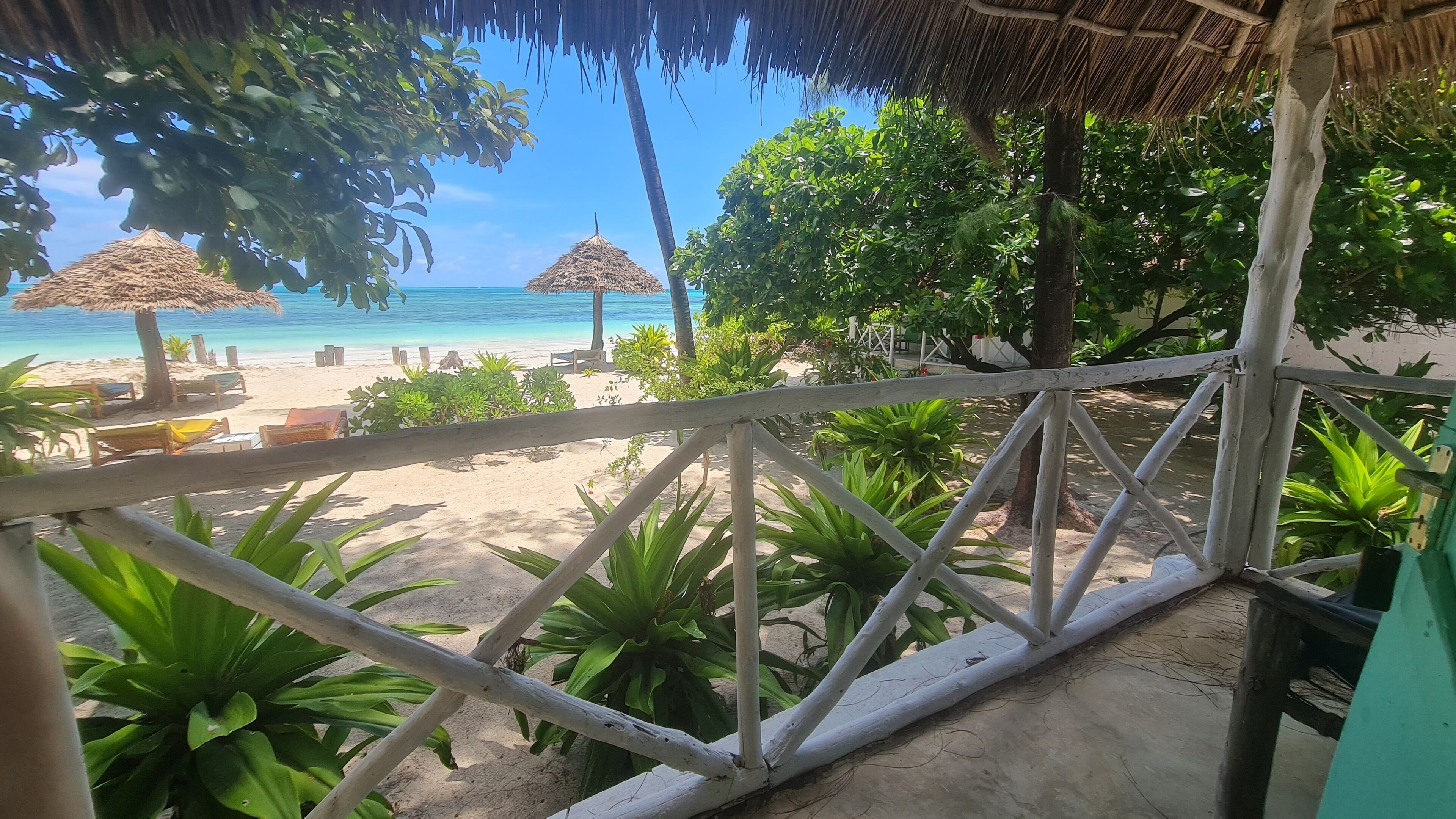 A beach view from a covered area with a wooden railing, palm trees, and a thatched roof structure.