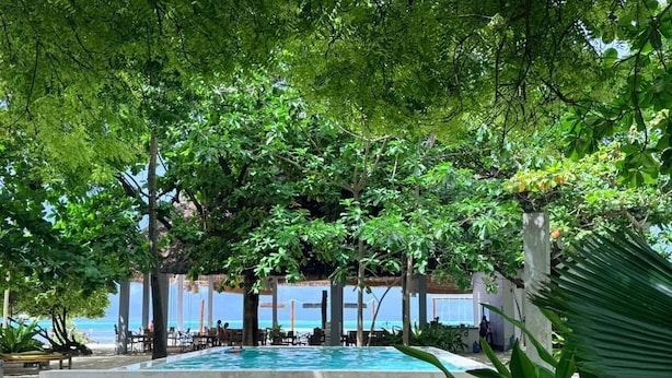 A pool area with steps leading to the water, surrounded by trees and a view of the beach. - Garden Beach Bungalows (Jambiani)