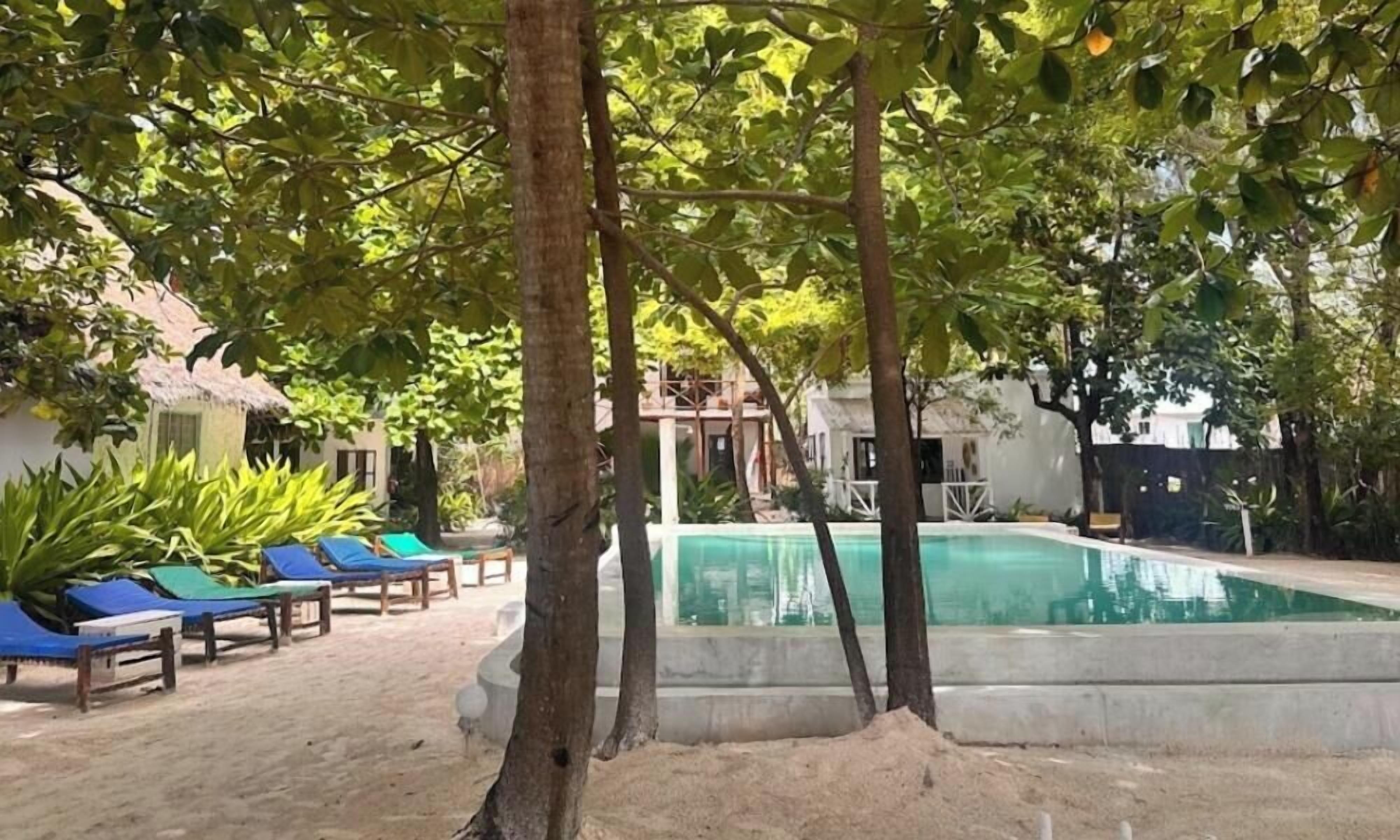 A pool area with lounge chairs, a swimming pool, and surrounding trees.