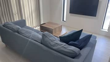 電視
