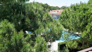 Una piscina rodeada de densos pinos, con una casa al fondo.