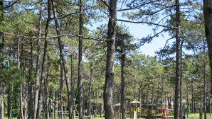 Área infantil