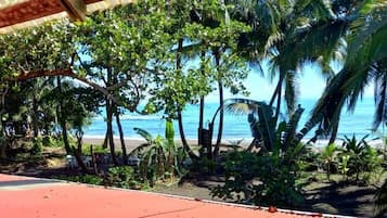 På stranden, kajakkpadling, roing og fisking