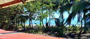 On the beach, kayaking, rowing, fishing - Tortuguero Adventures Beach House (Colorado)